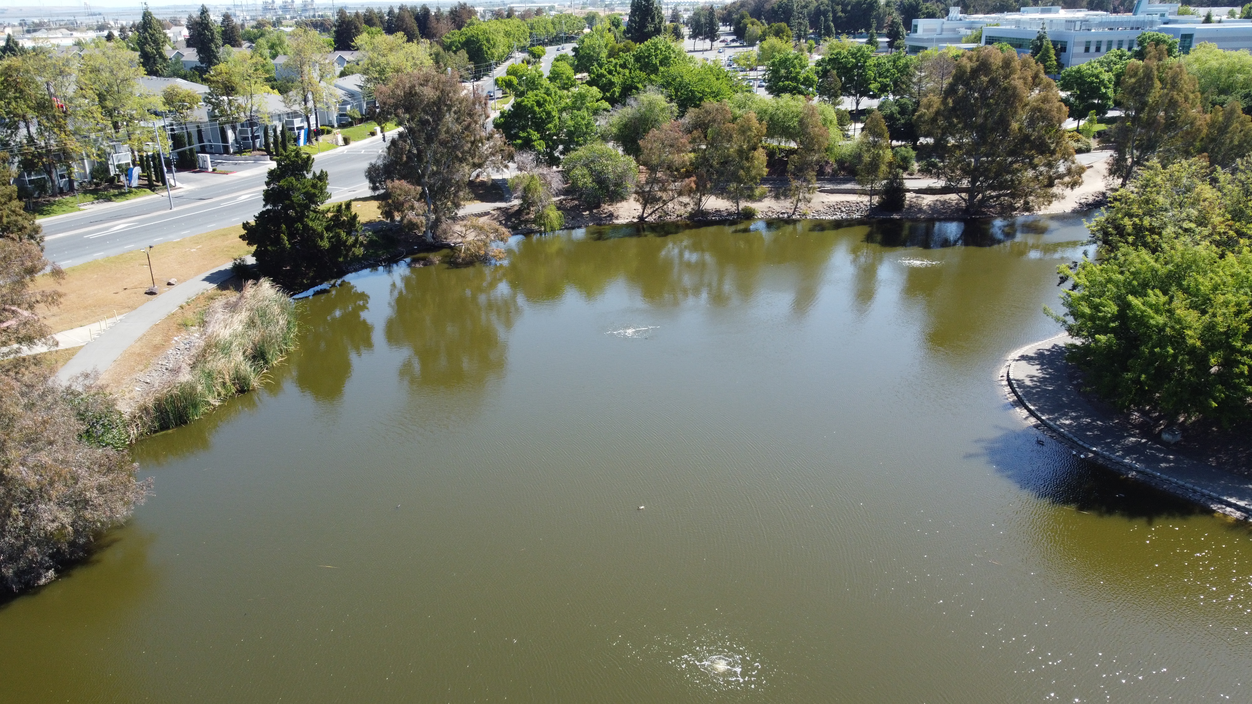 drone photo1