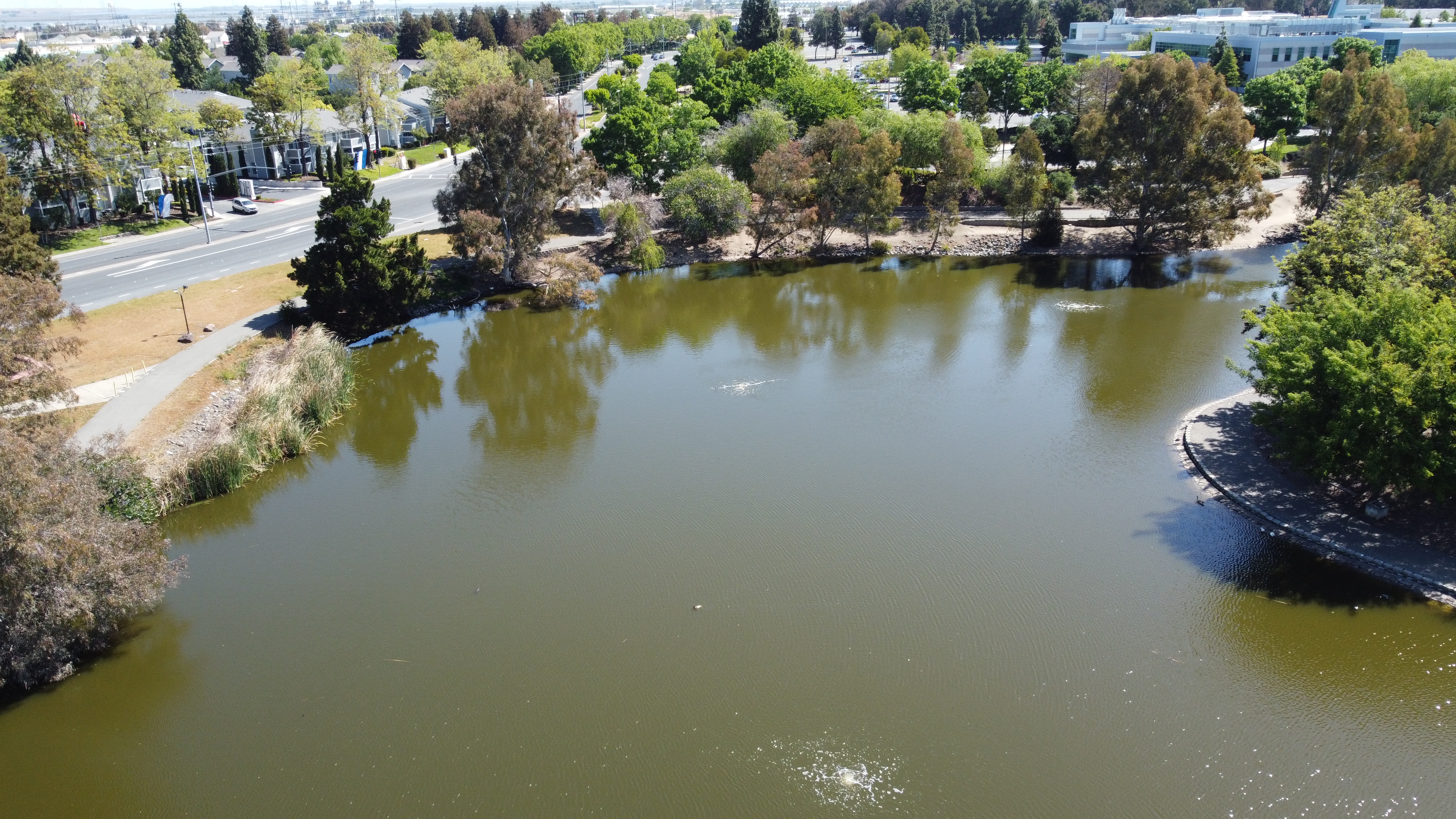 drone photo2