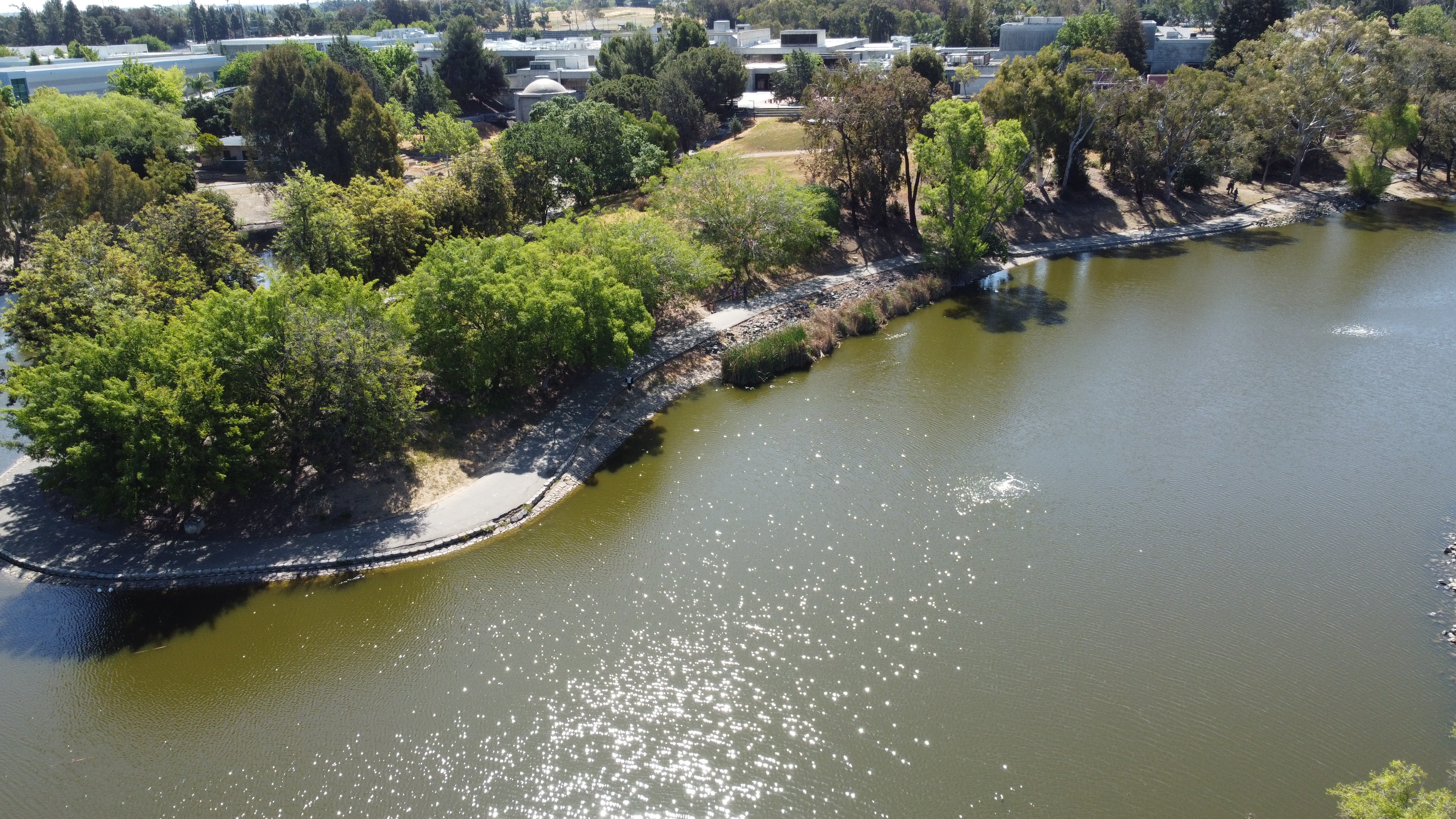drone photo4