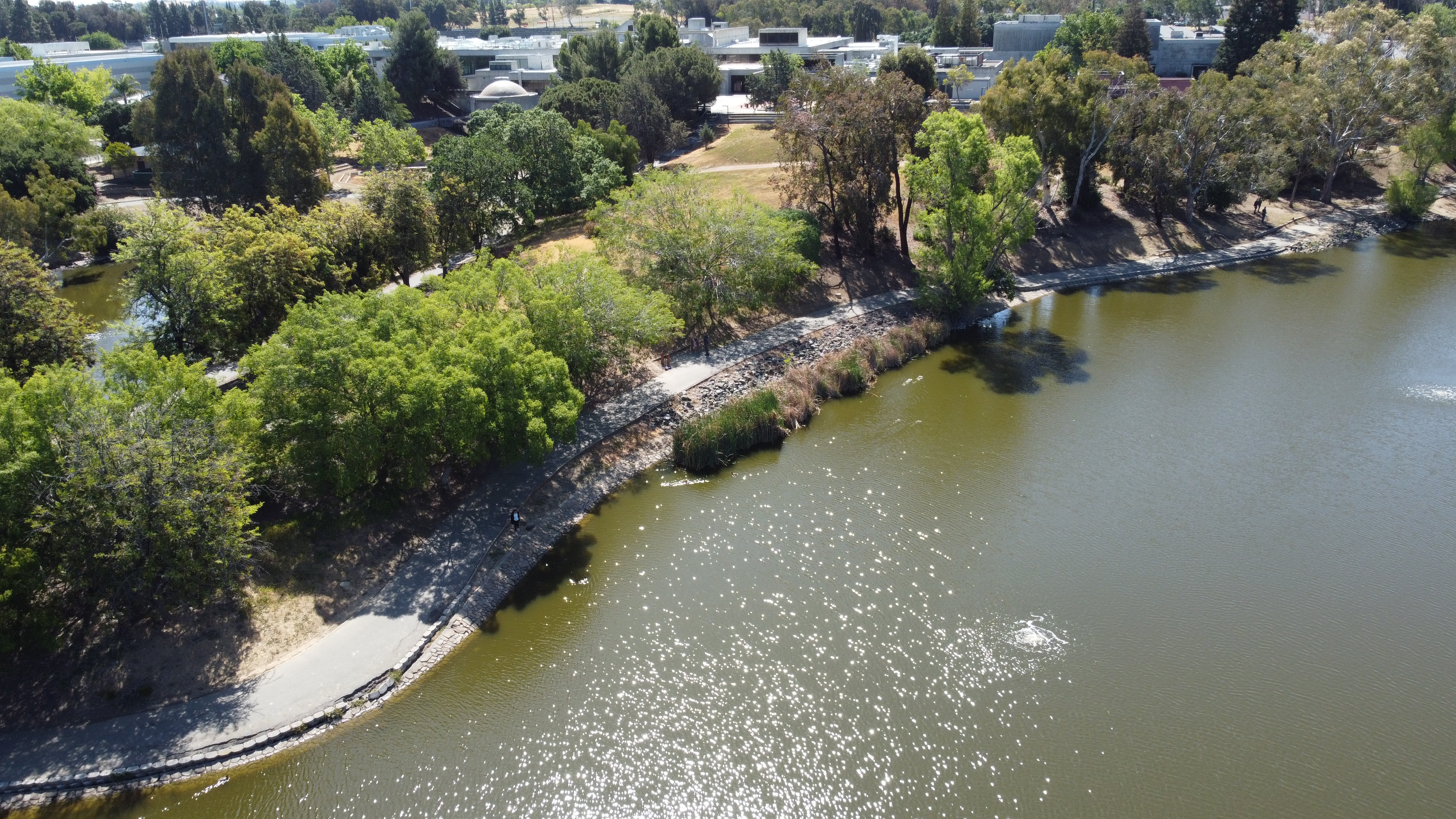 drone photo5