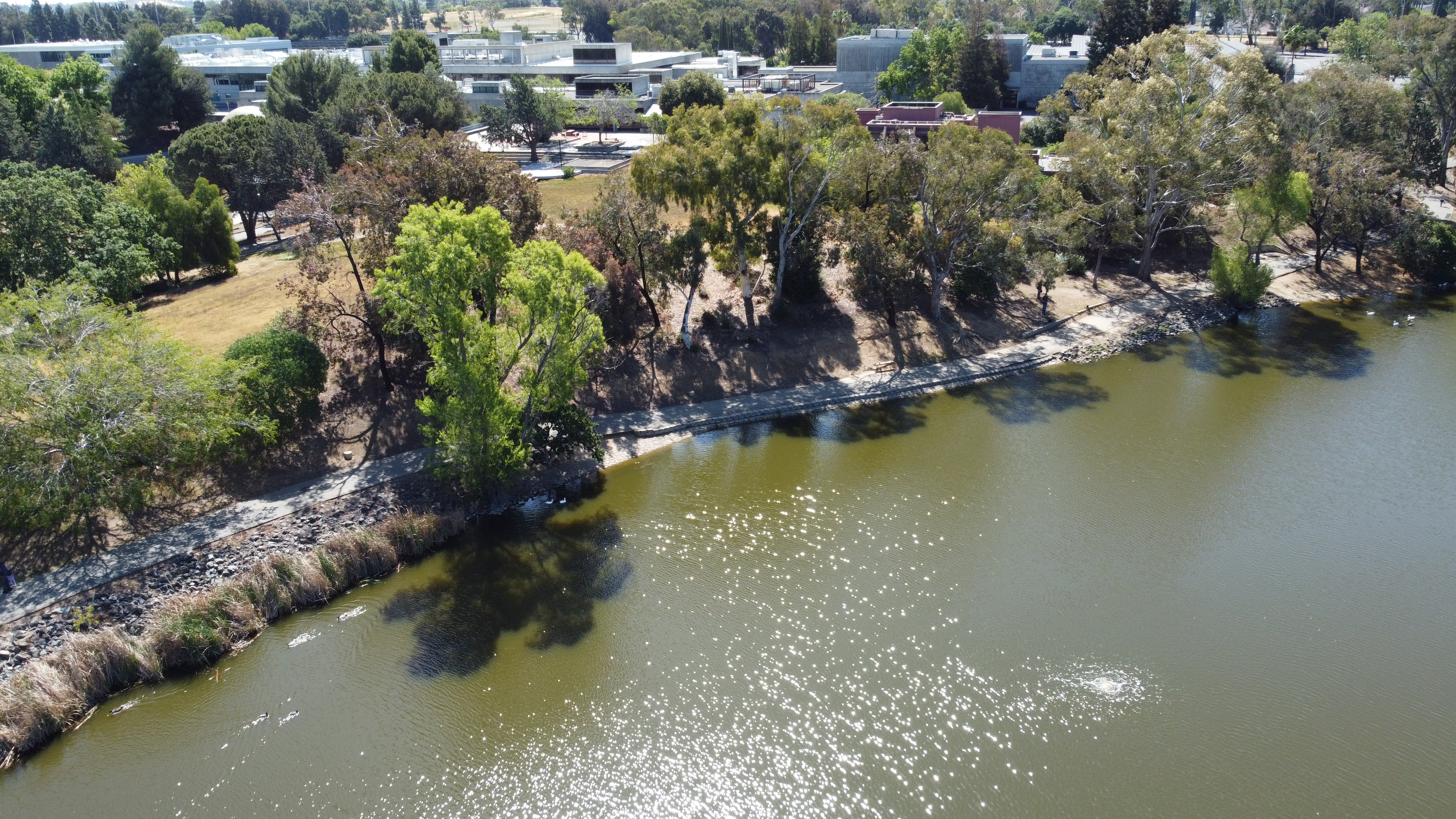 drone photo6